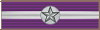 2nd Order of the Purple Eagle Medal of Recognition
